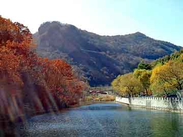 新澳天天开奖资料大全旅游团，小丫头的恋爱暴君